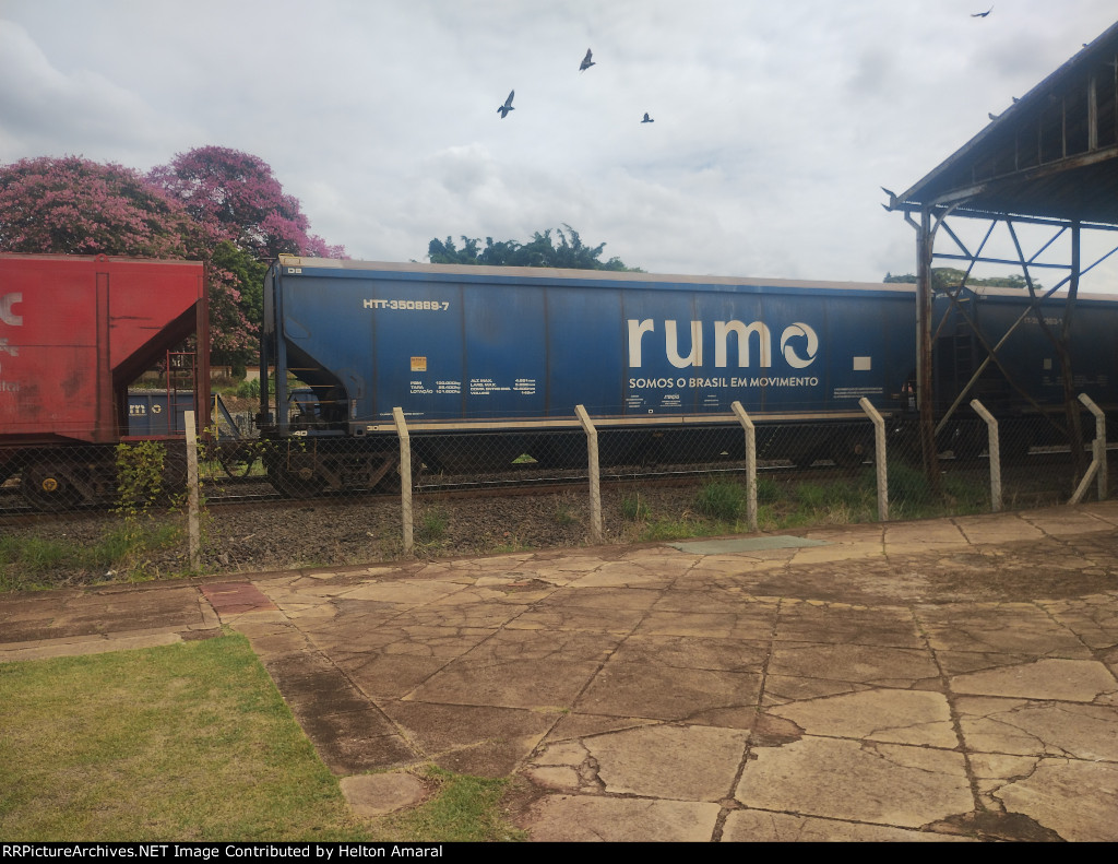 RUMO HTT-350889-7